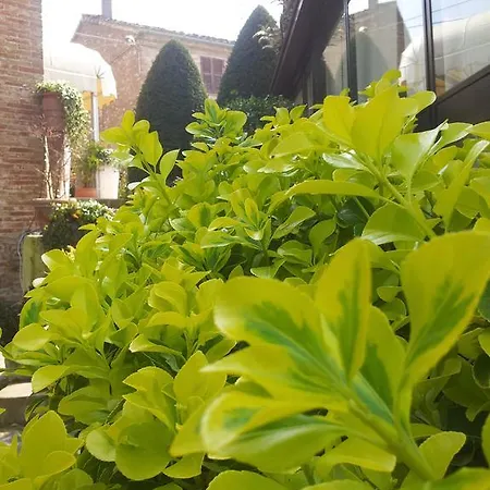 Country house Dei Tigli