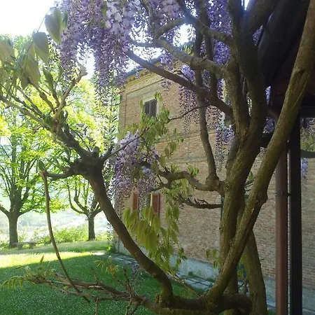 Dei Tigli * Fabriano